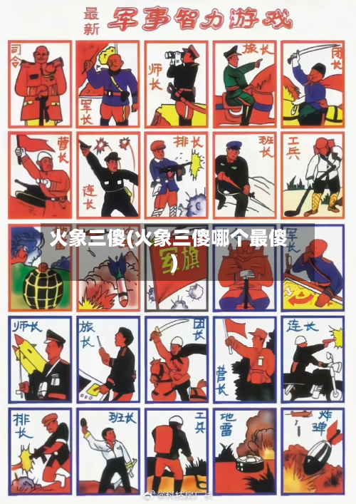 火象三傻(火象三傻哪个最傻)-第1张图片