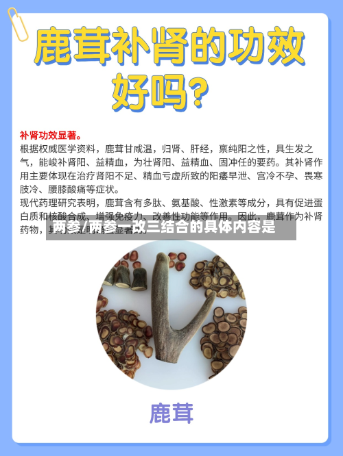 两参/两参一改三结合的具体内容是-第1张图片