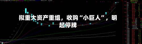 拟重大资产重组，收购“小巨人	”，明起停牌-第2张图片