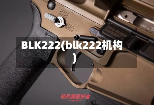 BLK222(blk222机构)-第1张图片