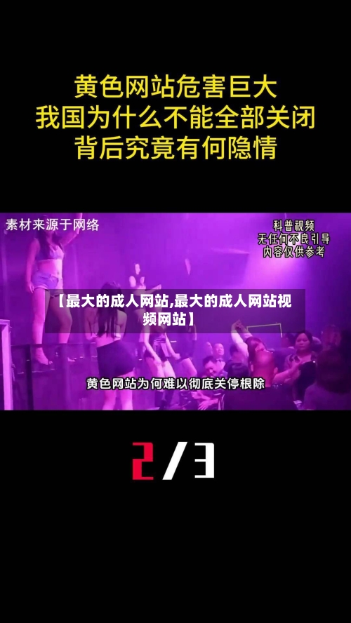 【最大的成人网站,最大的成人网站视频网站】-第3张图片