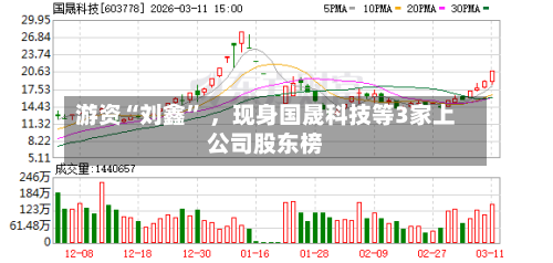 游资“刘鑫	” ，现身国晟科技等3家上公司股东榜-第2张图片