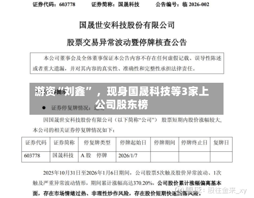 游资“刘鑫” 	，现身国晟科技等3家上公司股东榜-第3张图片