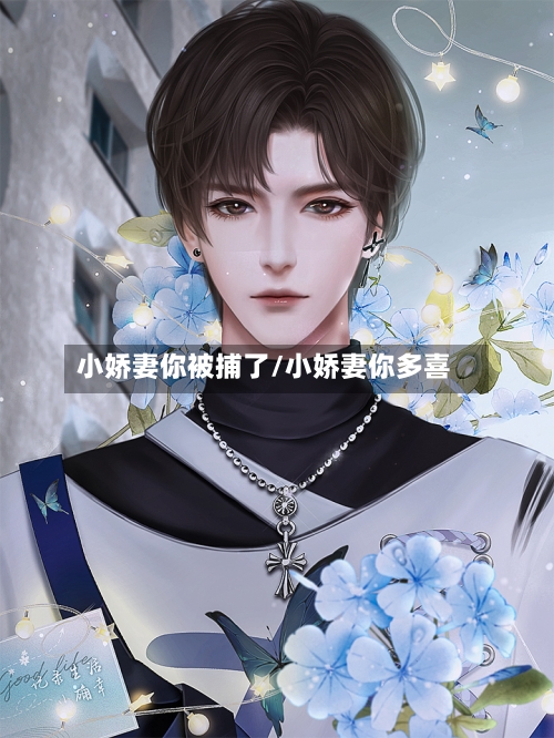 小娇妻你被捕了/小娇妻你多喜-第2张图片