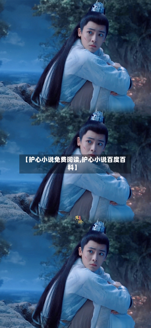 【护心小说免费阅读,护心小说百度百科】-第3张图片