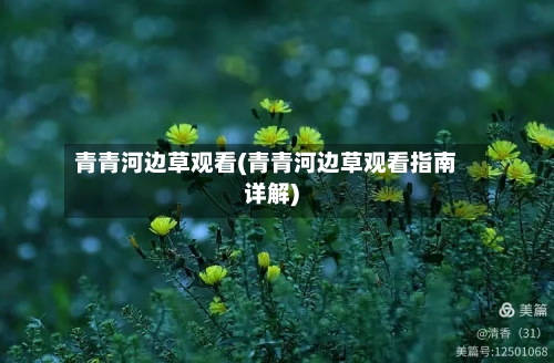 青青河边草观看(青青河边草观看指南详解)-第2张图片
