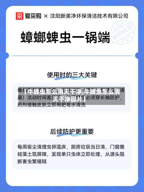 【牛蜱虫怎么消灭干净,牛蜱虫怎么消灭干净图片】-第1张图片