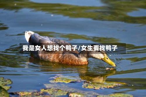 我是女人想找个鸭子/女生要找鸭子-第1张图片