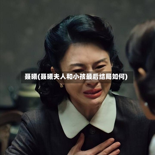 聂曦(聂曦夫人和小孩最后结局如何)-第3张图片