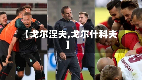 【戈尔涅夫,戈尔什科夫】-第1张图片