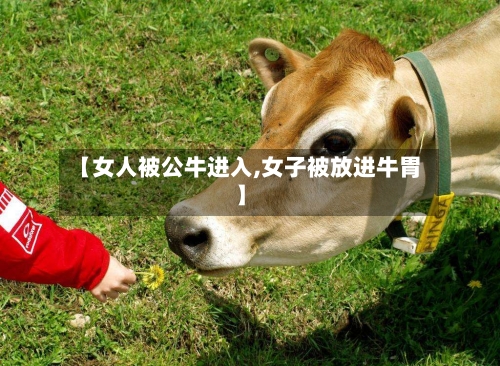 【女人被公牛进入,女子被放进牛胃】-第1张图片
