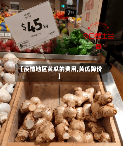 【疫情地区黄瓜的费用,黄瓜降价】-第1张图片