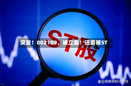 突发！002109，被立案！还要被ST-第1张图片