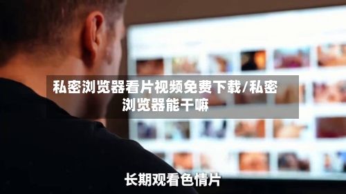 私密浏览器看片视频免费下载/私密浏览器能干嘛-第1张图片