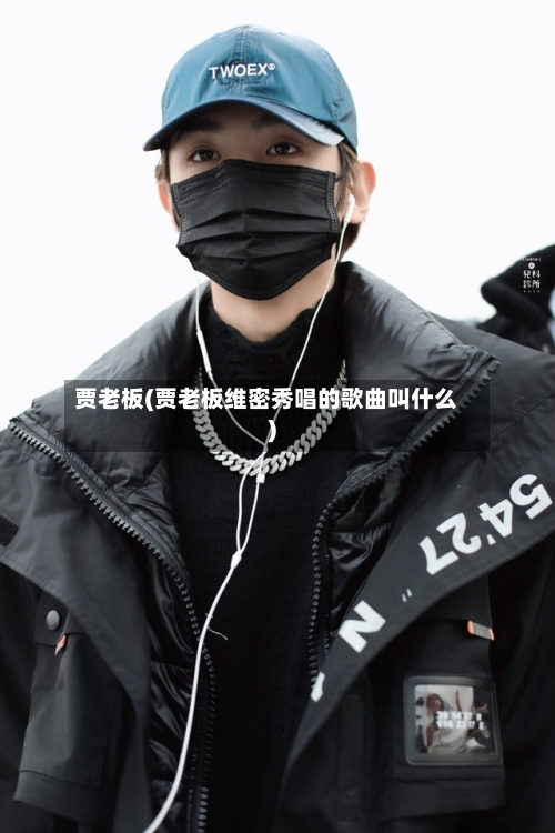 贾老板(贾老板维密秀唱的歌曲叫什么)-第1张图片