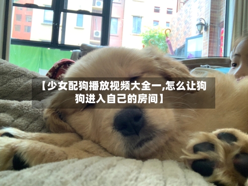 【少女配狗播放视频大全一,怎么让狗狗进入自己的房间】-第2张图片