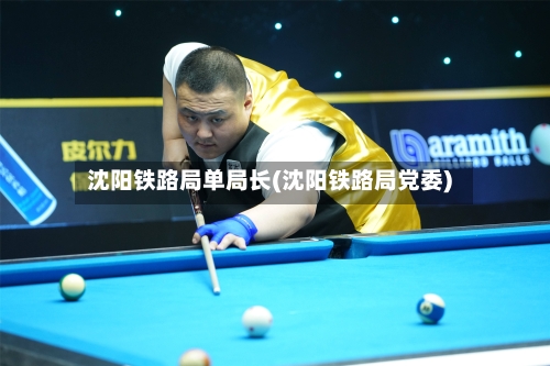 沈阳铁路局单局长(沈阳铁路局党委)-第2张图片