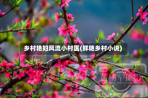 乡村艳妇风流小村医(鲜艳乡村小说)-第2张图片