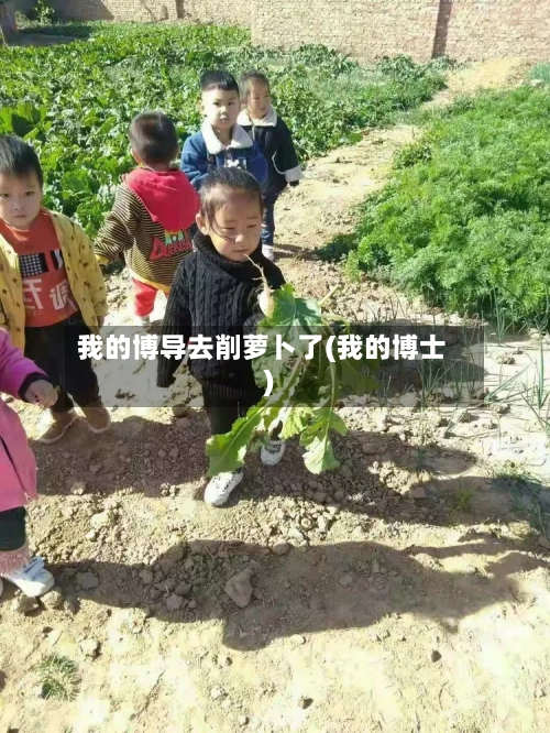 我的博导去削萝卜了(我的博士)-第3张图片