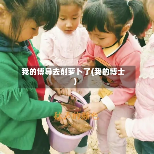 我的博导去削萝卜了(我的博士)-第2张图片
