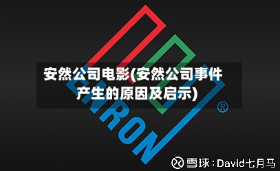 安然公司电影(安然公司事件产生的原因及启示)-第3张图片