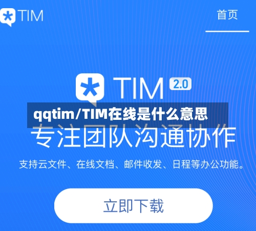 qqtim/TIM在线是什么意思-第2张图片