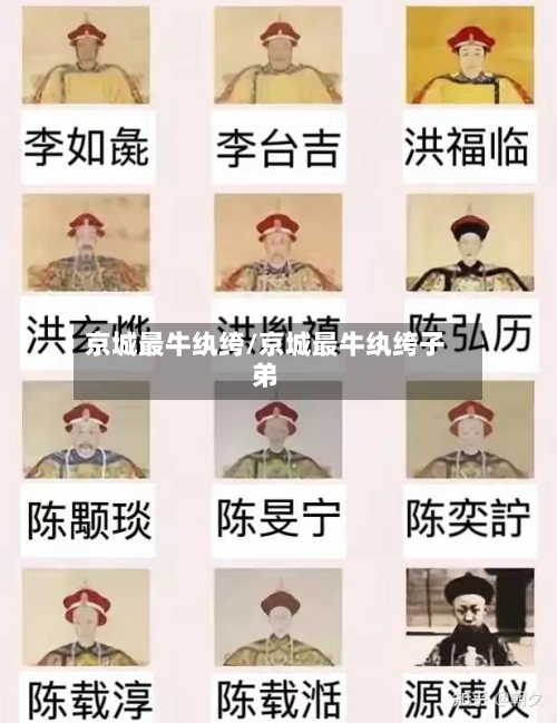 京城最牛纨绔/京城最牛纨绔子弟-第2张图片