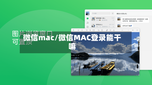 微信mac/微信MAC登录能干嘛-第1张图片
