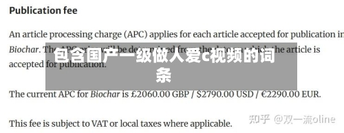 包含国产一级做人爱c视频的词条-第2张图片