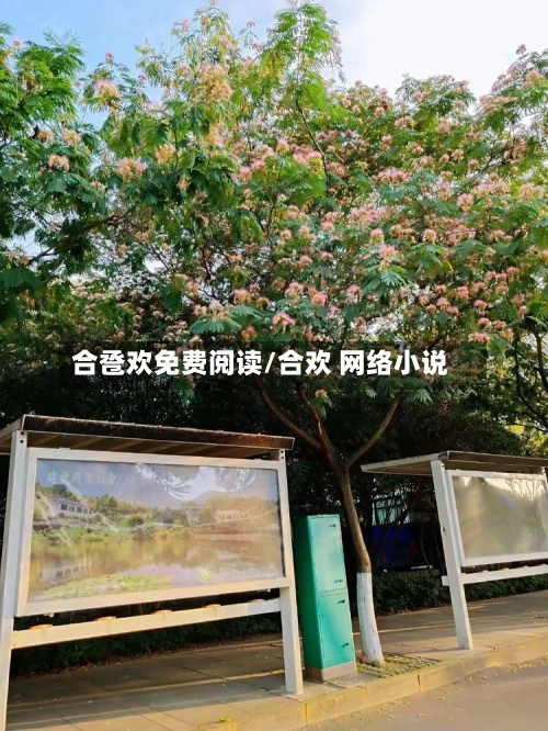 合卺欢免费阅读/合欢 网络小说-第2张图片
