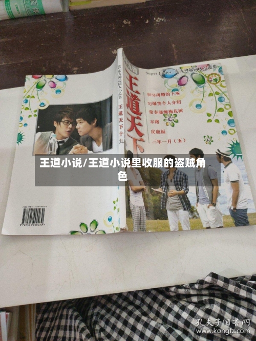 王道小说/王道小说里收服的盗贼角色-第2张图片