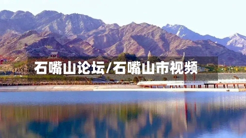 石嘴山论坛/石嘴山市视频-第2张图片