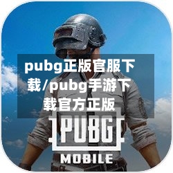 pubg正版官服下载/pubg手游下载官方正版-第1张图片