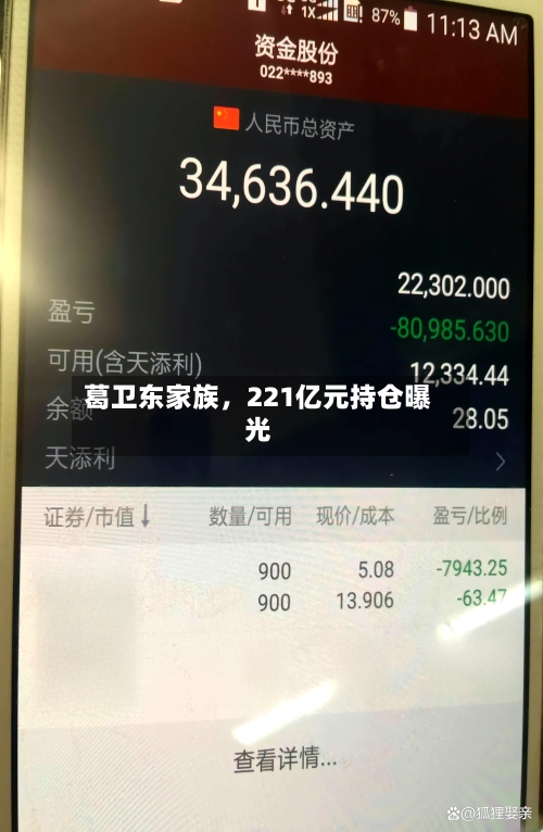 葛卫东家族，221亿元持仓曝光-第1张图片