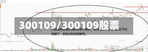 300109/300109股票-第1张图片