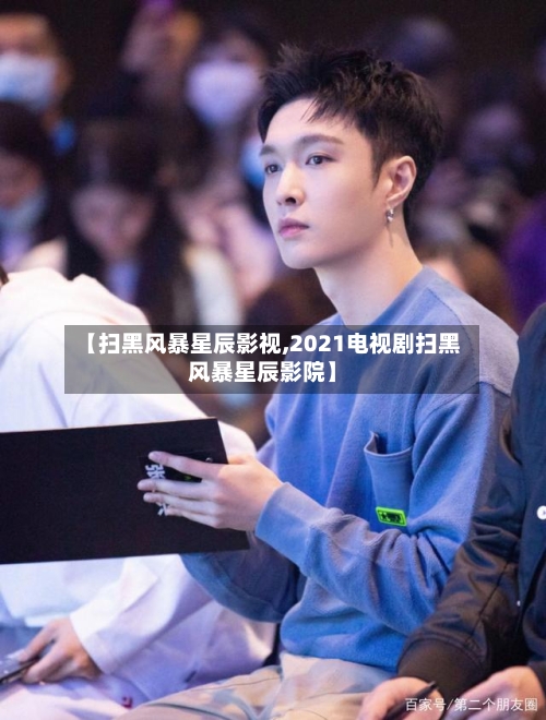 【扫黑风暴星辰影视,2021电视剧扫黑风暴星辰影院】-第1张图片