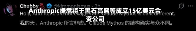 Anthropic据悉将于黑石高盛等成立15亿美元合资公司-第1张图片