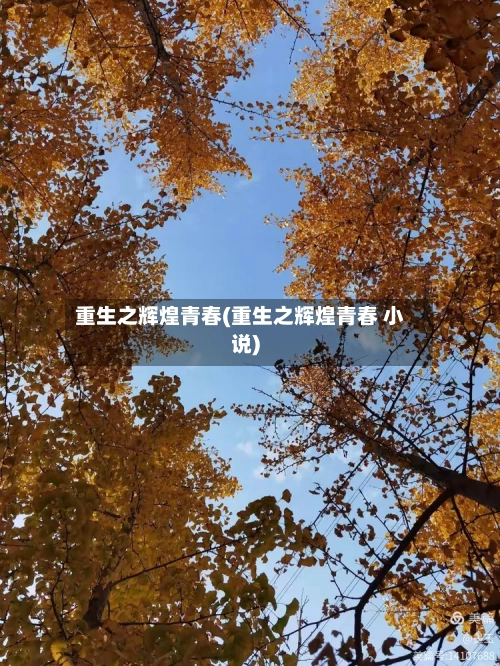 重生之辉煌青春(重生之辉煌青春 小说)-第1张图片