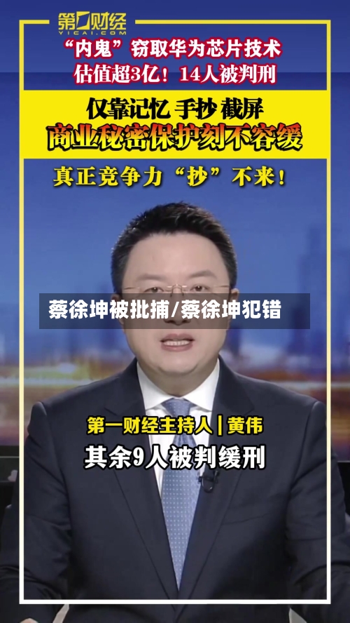 蔡徐坤被批捕/蔡徐坤犯错-第3张图片