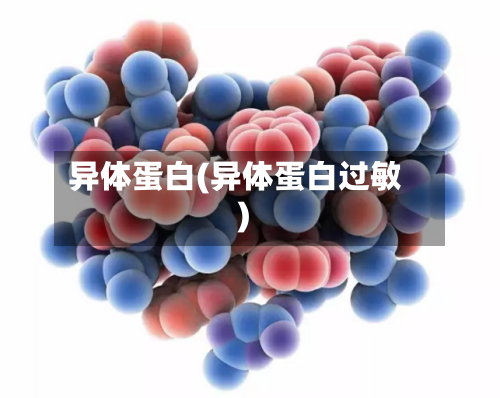 异体蛋白(异体蛋白过敏)-第2张图片