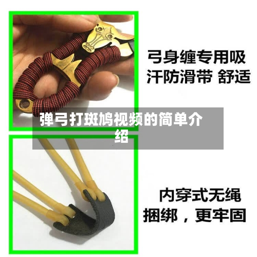 弹弓打斑鸠视频的简单介绍-第1张图片