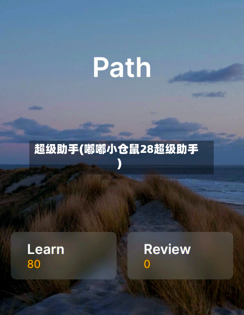 超级助手(嘟嘟小仓鼠28超级助手)-第1张图片
