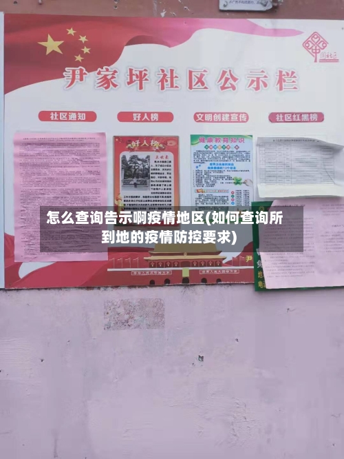 怎么查询告示啊疫情地区(如何查询所到地的疫情防控要求)-第3张图片