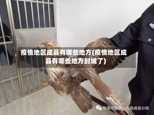 疫情地区成县有哪些地方(疫情地区成县有哪些地方封城了)-第3张图片