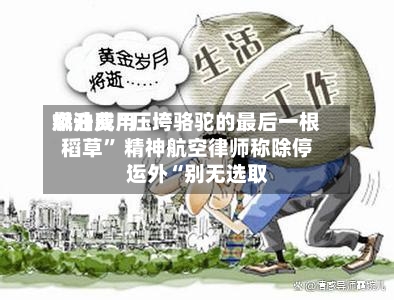 燃油费用飙升成“压垮骆驼的最后一根稻草” 精神航空律师称除停运外“别无选取”-第1张图片