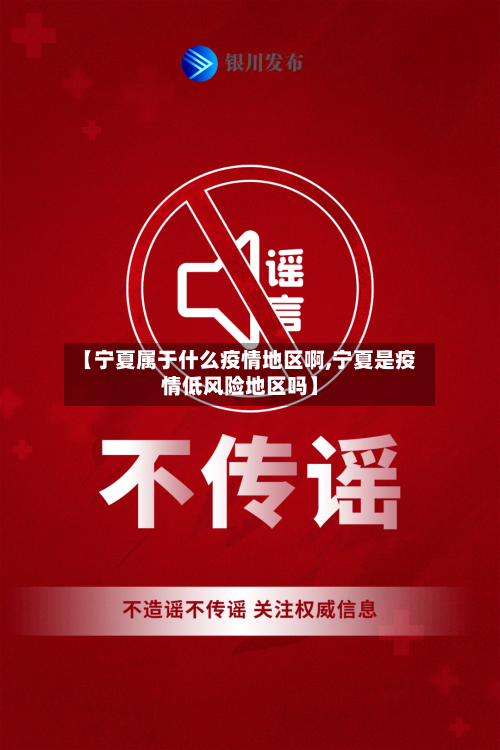 【宁夏属于什么疫情地区啊,宁夏是疫情低风险地区吗】-第2张图片