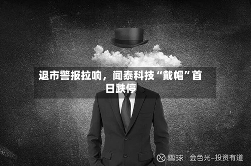退市警报拉响，闻泰科技“戴帽”首日跌停-第2张图片