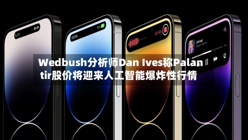 Wedbush分析师Dan Ives称Palantir股价将迎来人工智能爆炸性行情-第2张图片