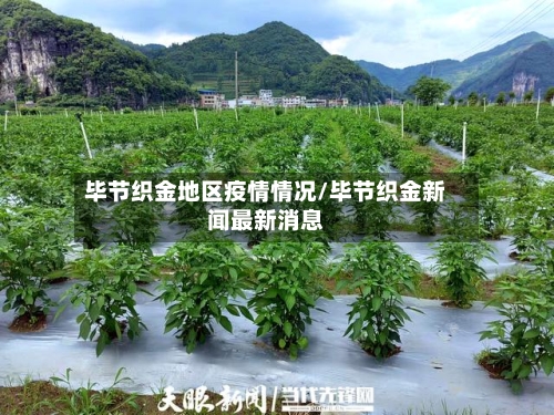 毕节织金地区疫情情况/毕节织金新闻最新消息-第1张图片