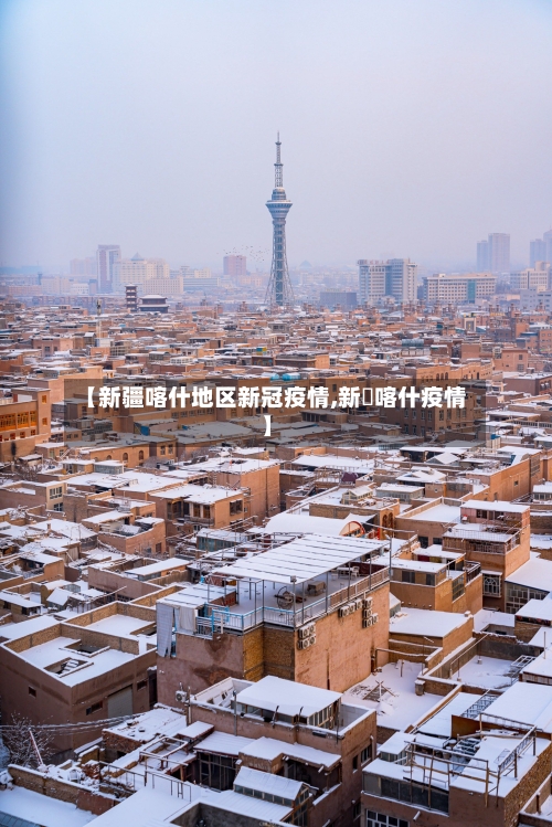 【新疆喀什地区新冠疫情,新彊喀什疫情】-第3张图片